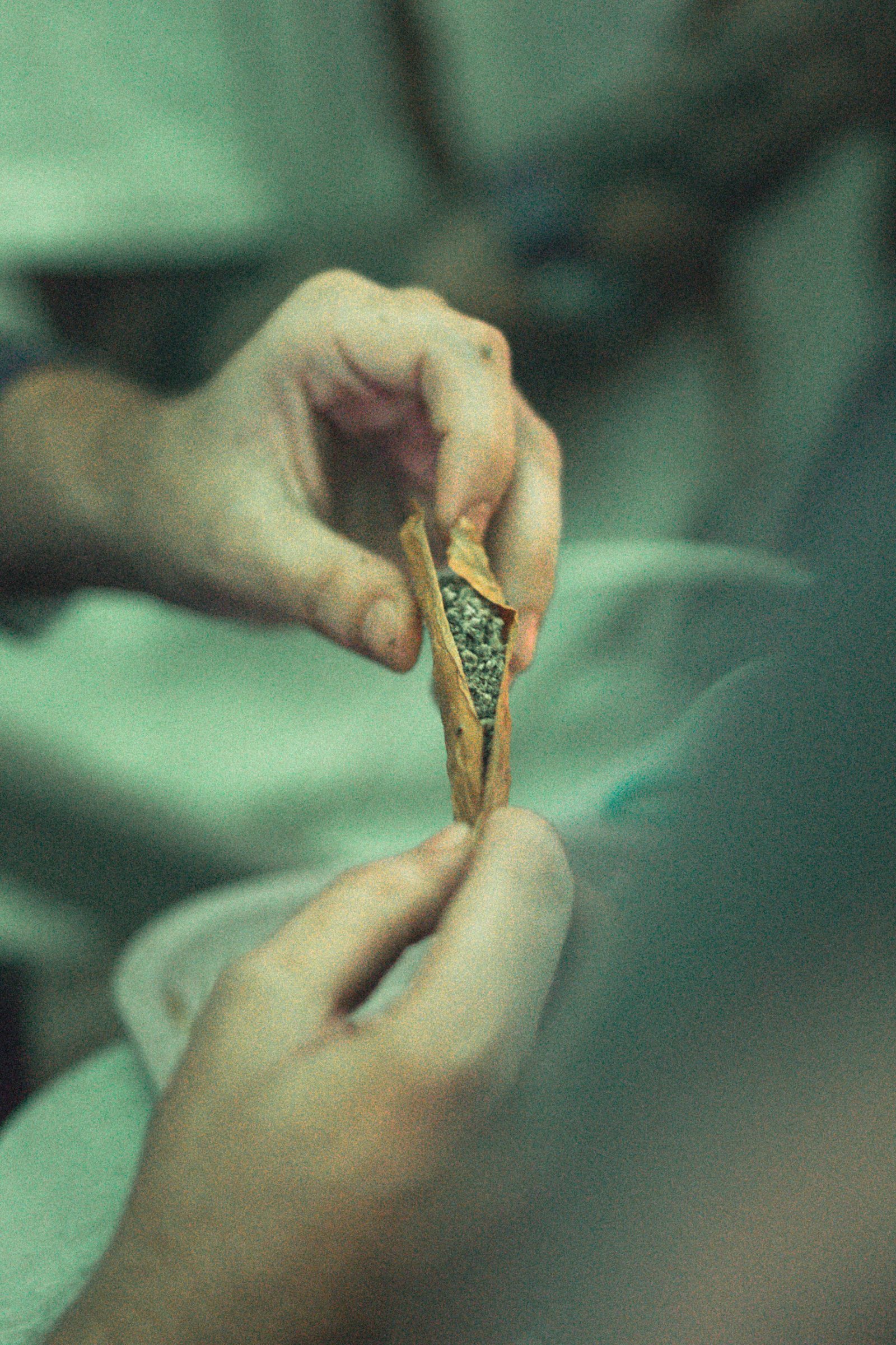 All Time High Soi 33, Phrom Phong - Blunt Rolling Competition - Activities event - Bangpot On Site